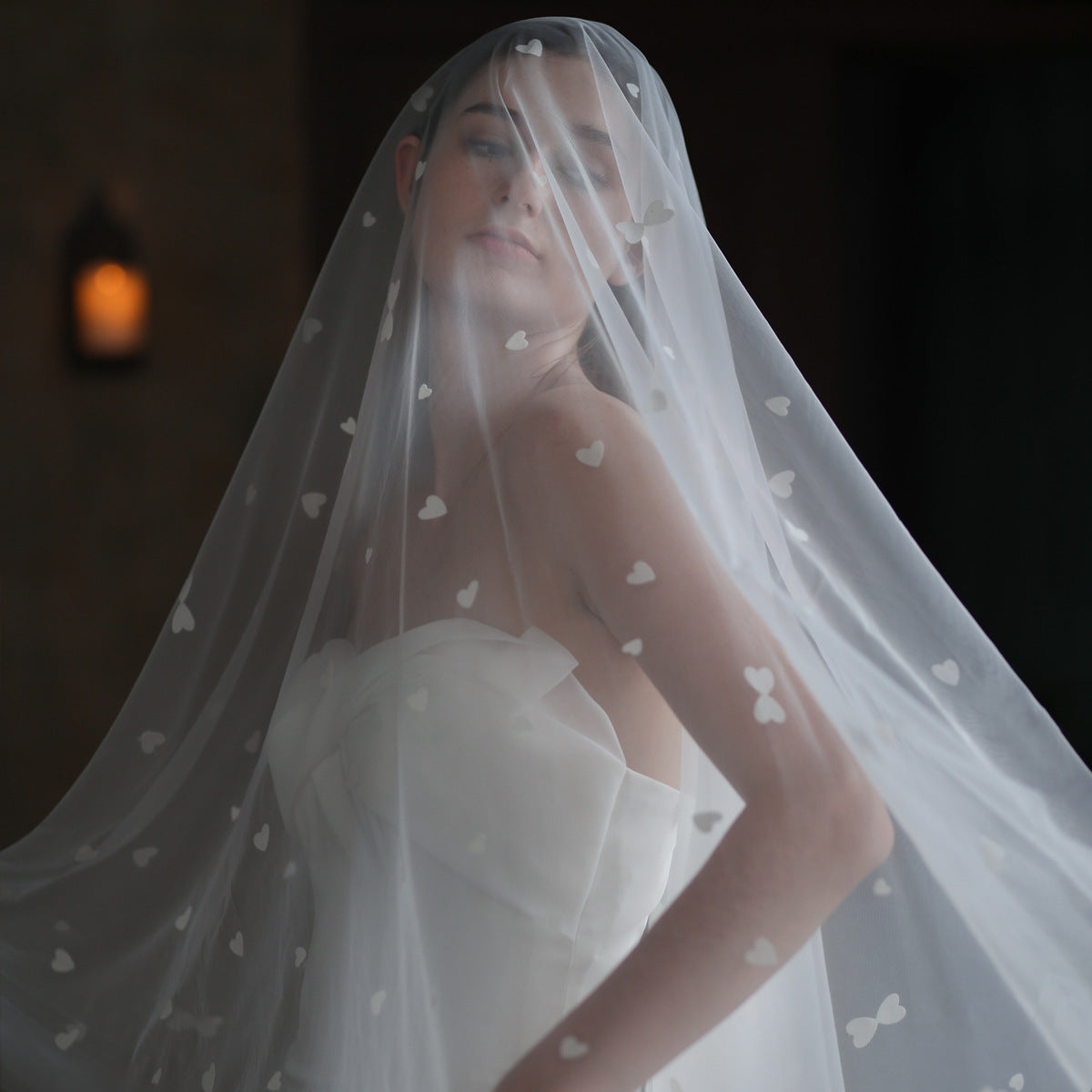 Heart Printed Tulle Bridal Veil Viniodress V857-Veils-Viniodress-Ivory-300cm-Viniodress