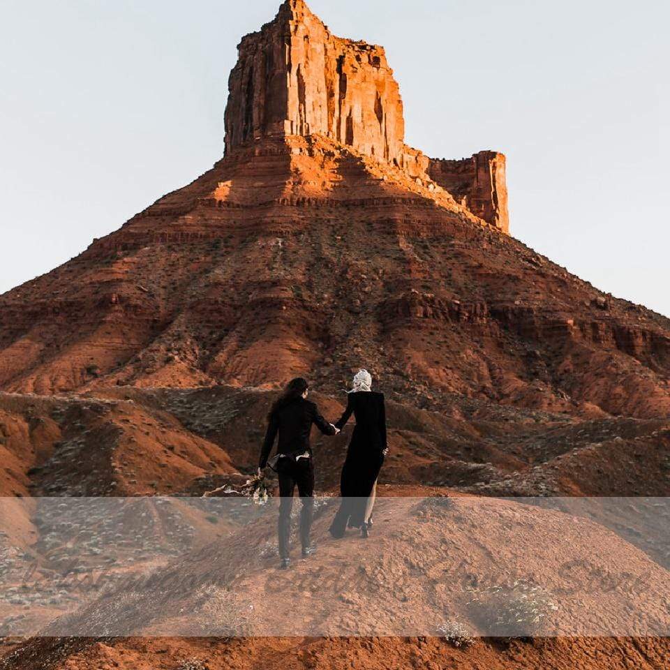Simple Sexy Black Wedding Dress Long Sleeves - ROYCEBRIDAL OFFICIAL STORE