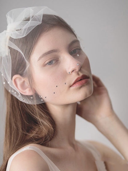 Roycebridal Vintage-Inspired Birdcage Veils with Tiny Crystals Blusher Veil