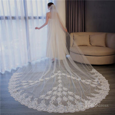 Vinatage Lace Appliqued Cathedral Veil Viniodress TS17153-Veils-Viniodress-Ivory-Viniodress