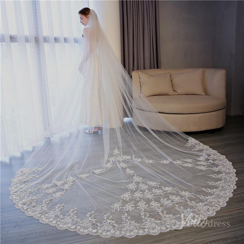 Vinatage Lace Appliqued Cathedral Veil Viniodress TS17153-Veils-Viniodress-Ivory-Viniodress