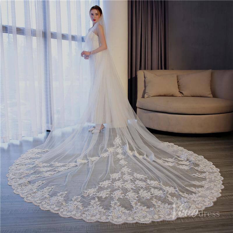 Vinatage Lace Appliqued Cathedral Veil Viniodress TS17153-Veils-Viniodress-Ivory-Viniodress