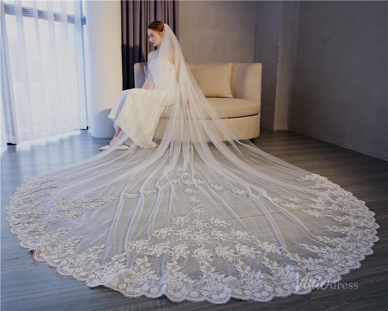 Vinatage Lace Appliqued Cathedral Veil Viniodress TS17153-Veils-Viniodress-Ivory-Viniodress