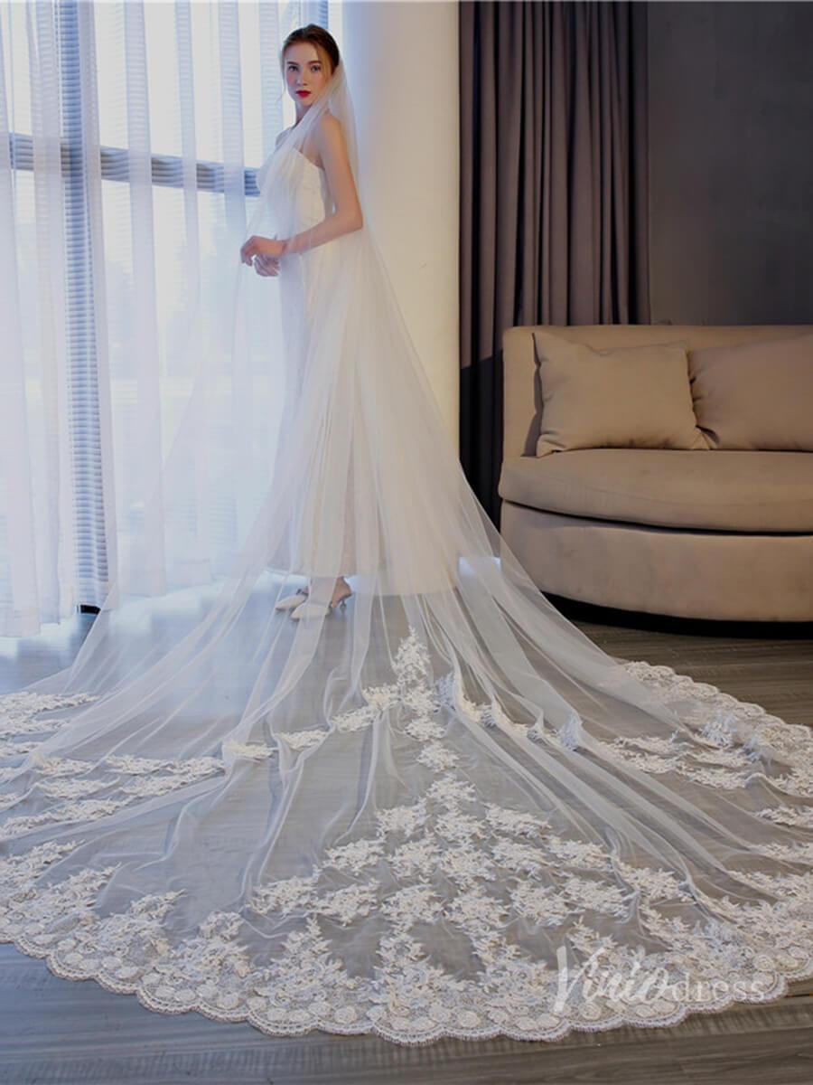Vinatage Lace Appliqued Cathedral Veil Viniodress TS17153-Veils-Viniodress-Ivory-Viniodress