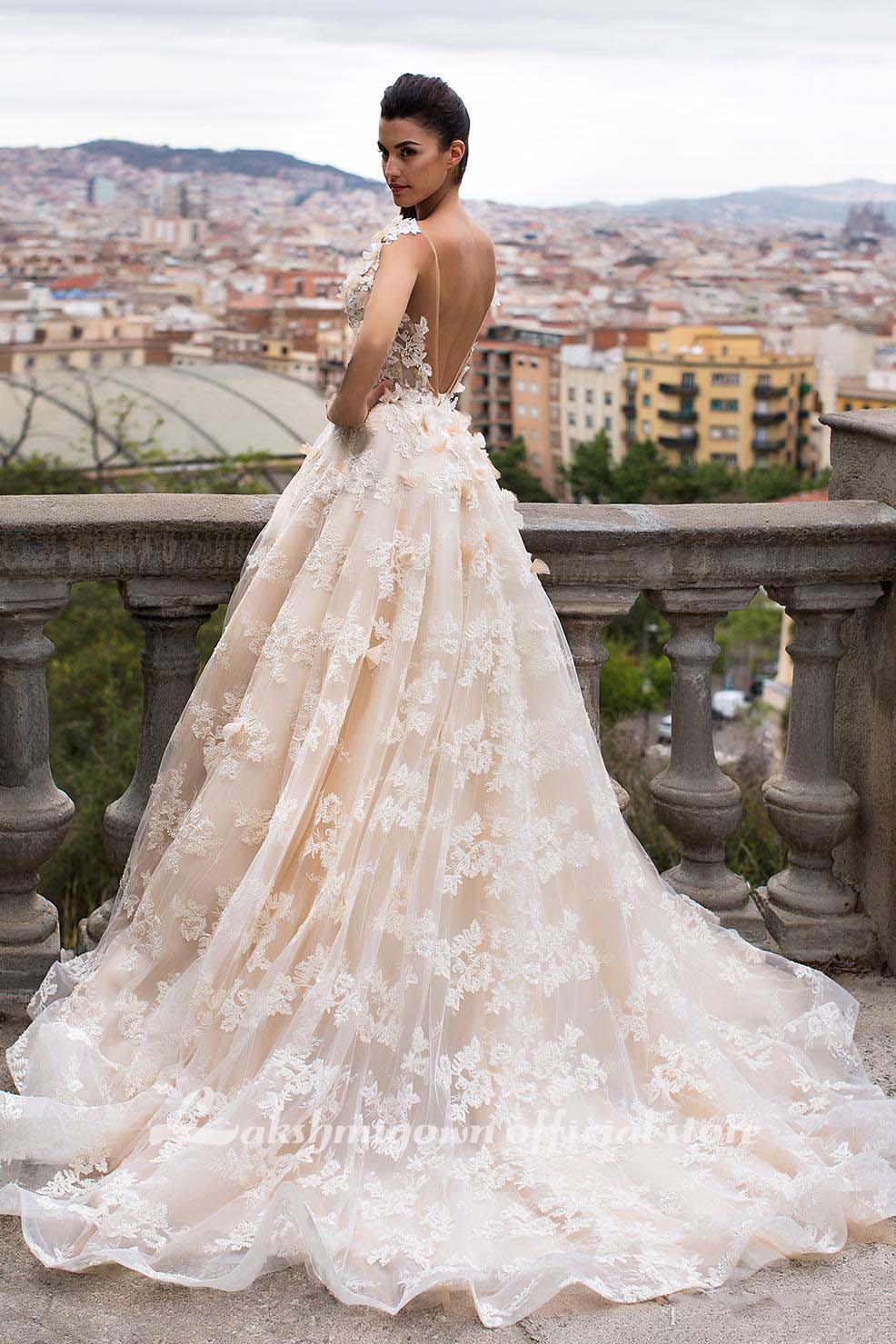 Roycebridal 3D Floral Appliques Lace Wedding Dresses Vintage Champagne ROYCEBRIDAL OFFICIAL STORE